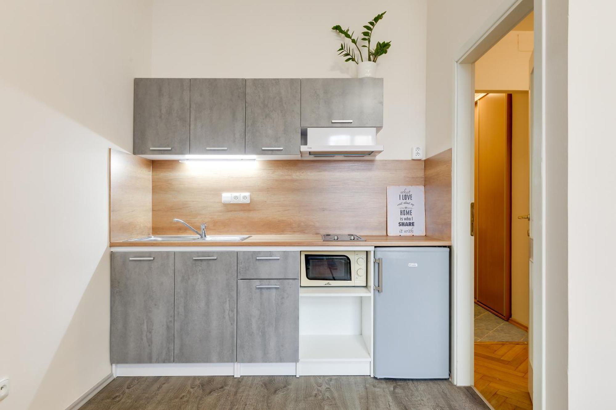 Vita Nejedleho Apartments براغ المظهر الخارجي الصورة